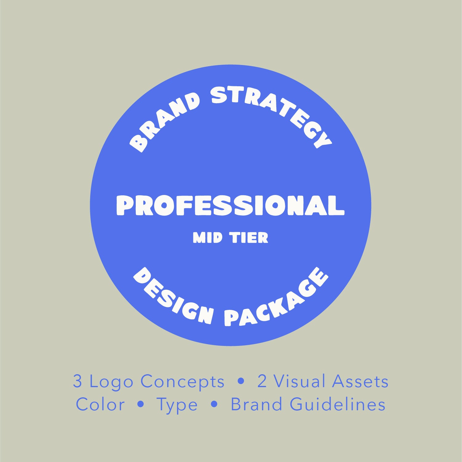 Professional - Brand Package